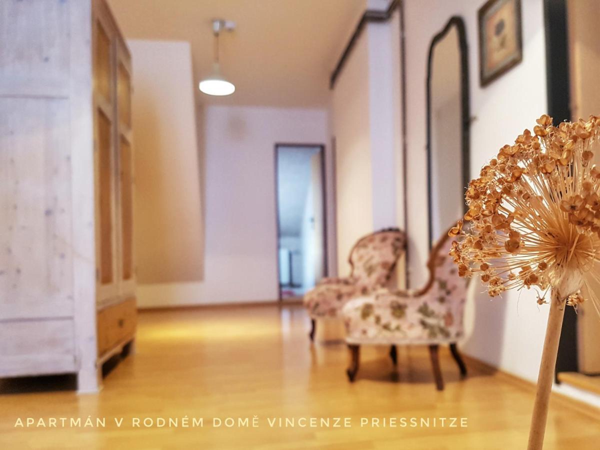Apartma V Rodnem Dome Vincenze Priessnitze V Centru Lazni Jeseník Exterior foto